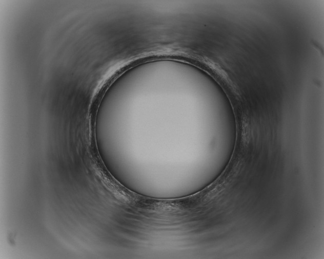 X0000100861270200807111244