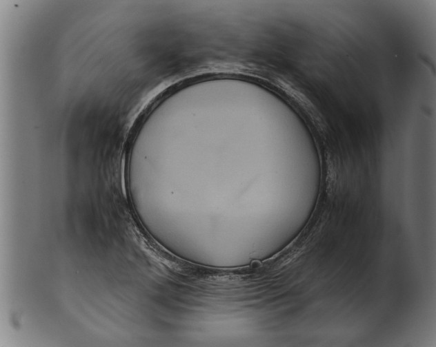 X0000100861272200807111244