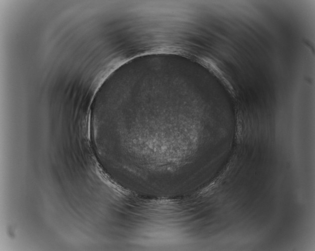 X0000100861276200807111244