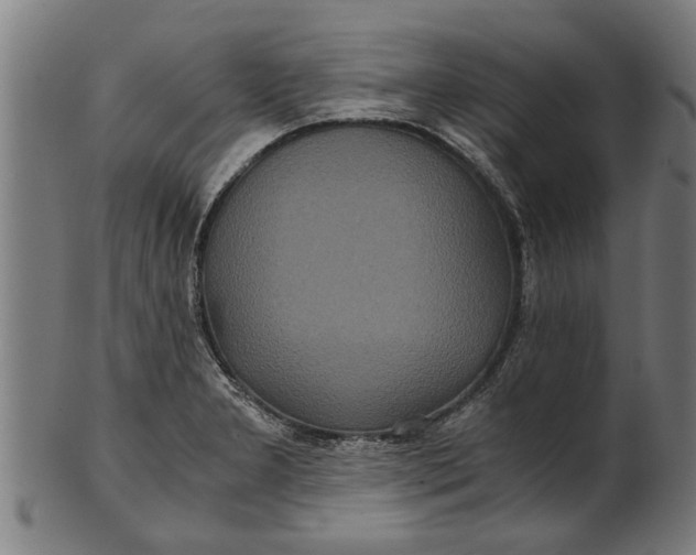 X0000100861277200807111244