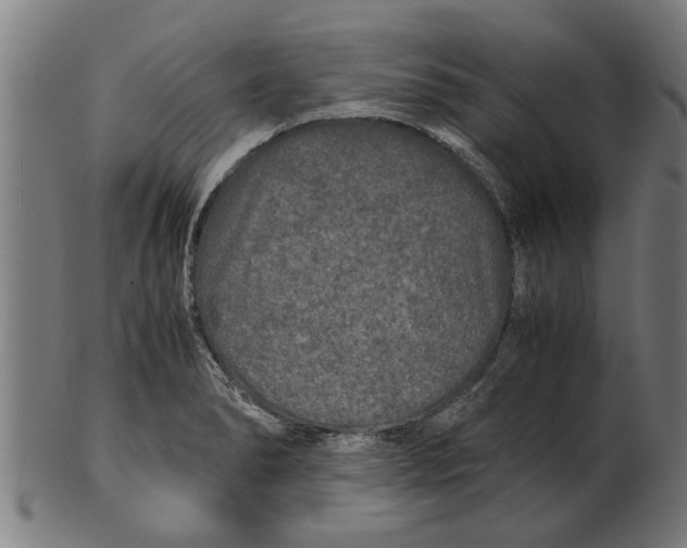 X0000100861278200807111244