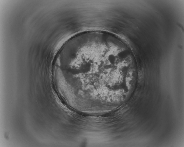 X0000100861279200807111244