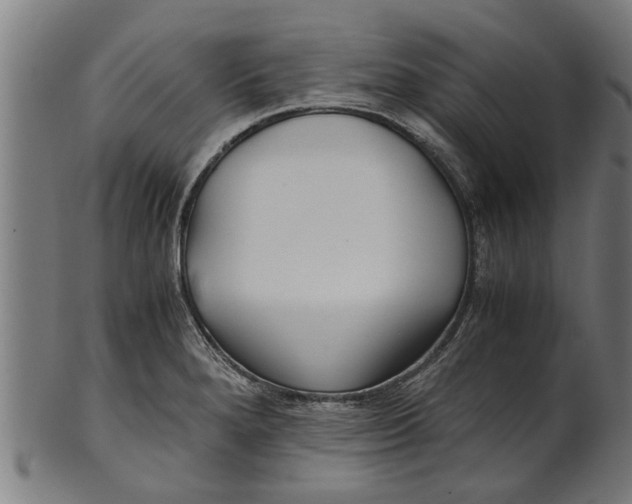 X0000100861280200807111244