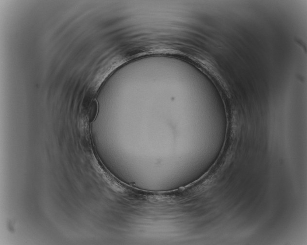 X0000100861281200807111244