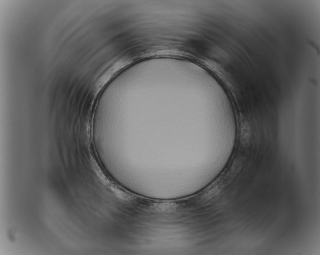 X0000100861282200807111244