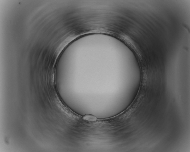 X0000100861284200807111244