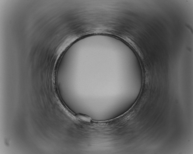 X0000100861285200807111244