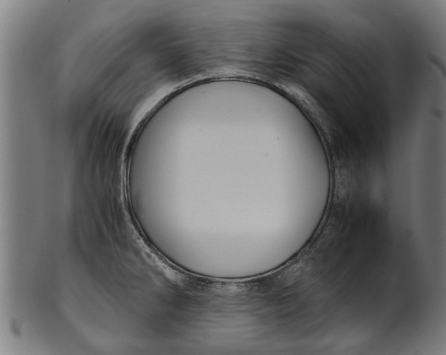 X0000100861286200807111244