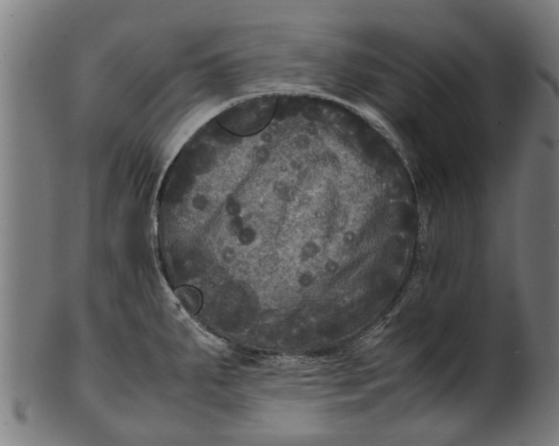 X0000100861287200807111244