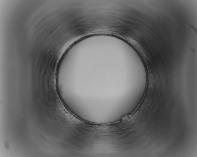 X0000100861288200807111244