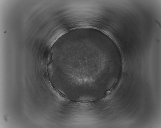 X0000100861289200807111244