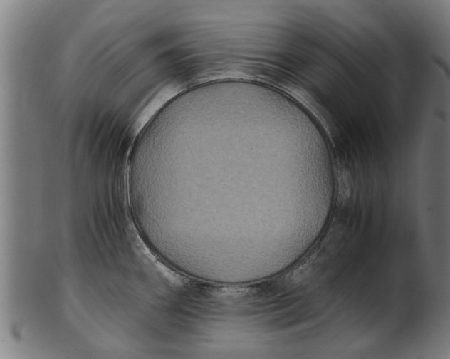 X0000100861290200807111244