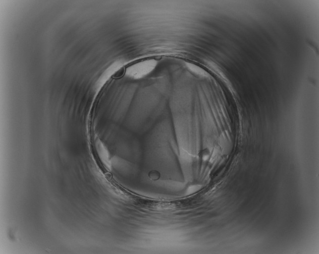 X0000100861291200807111244