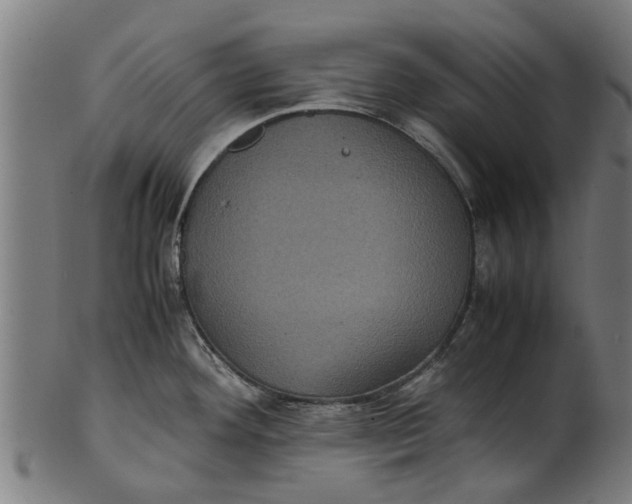 X0000100861292200807111244