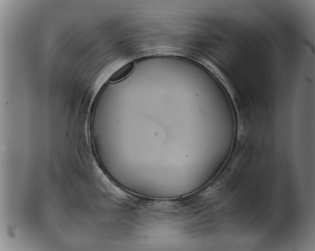 X0000100861293200807111244