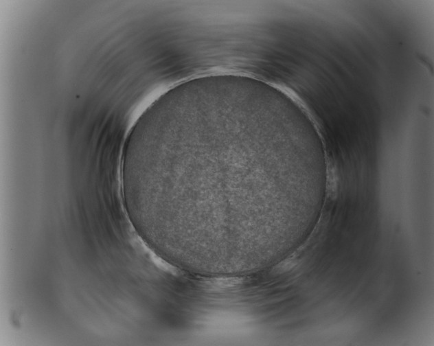 X0000100861294200807111244