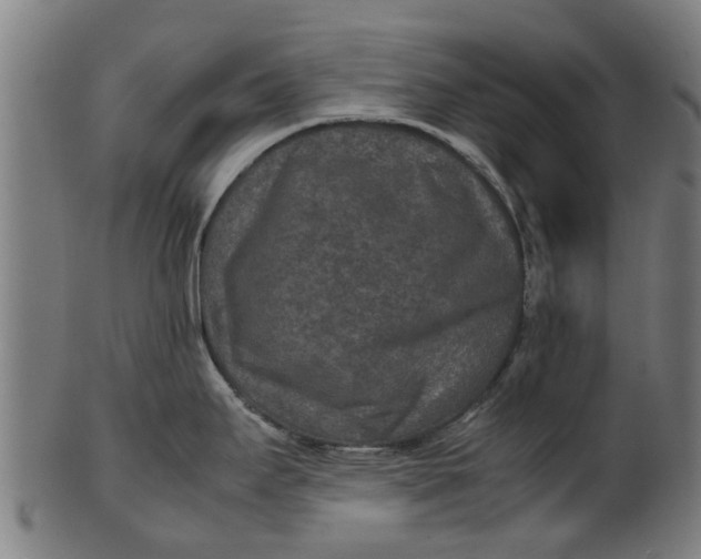 X0000100861295200807111244