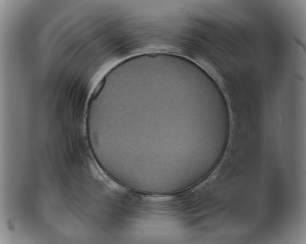 X0000100861296200807111244