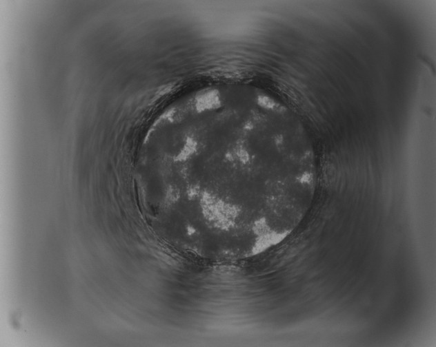 X0000100861297200807111243