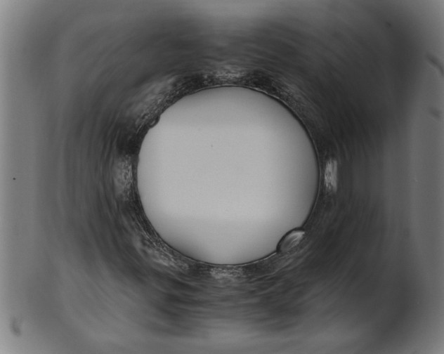 X0000100861299200807111243