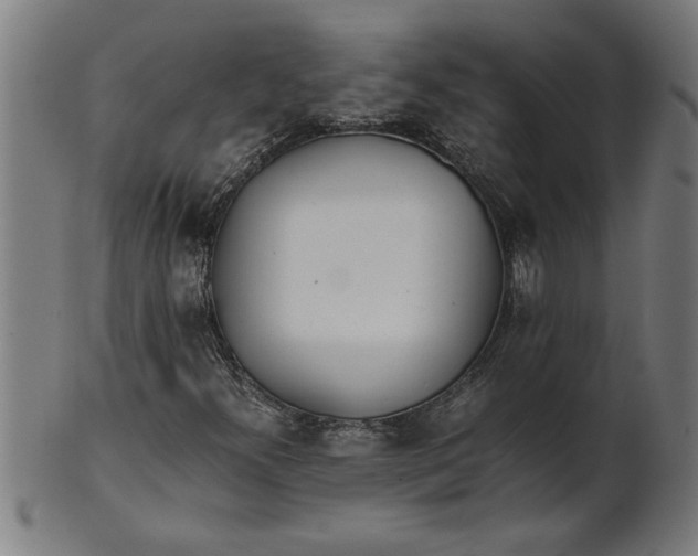 X0000100861300200807111243