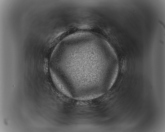 X0000100861301200807111243