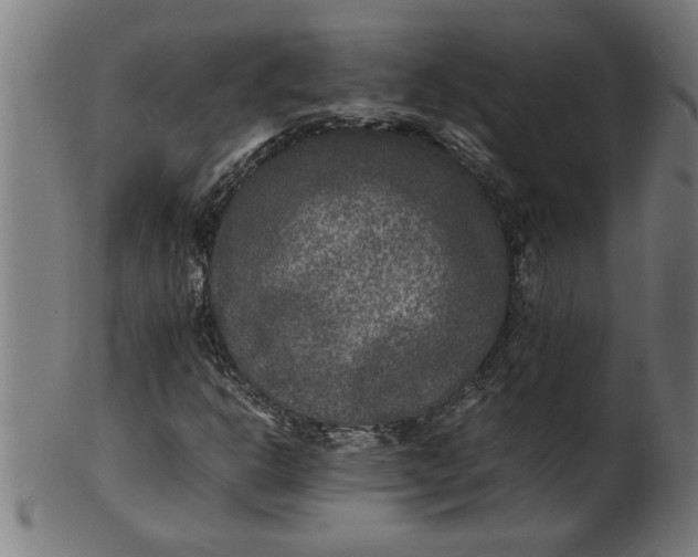 X0000100861302200807111243