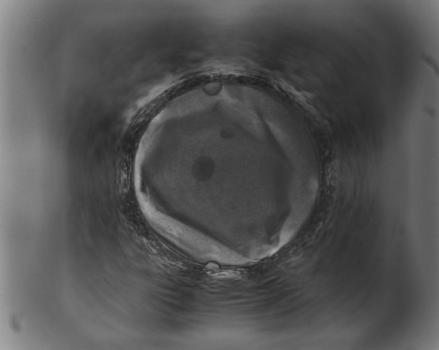 X0000100861303200807111243