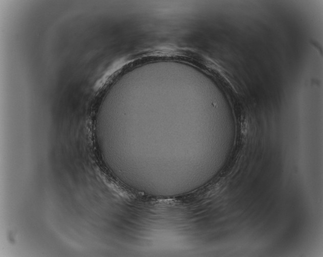 X0000100861304200807111243