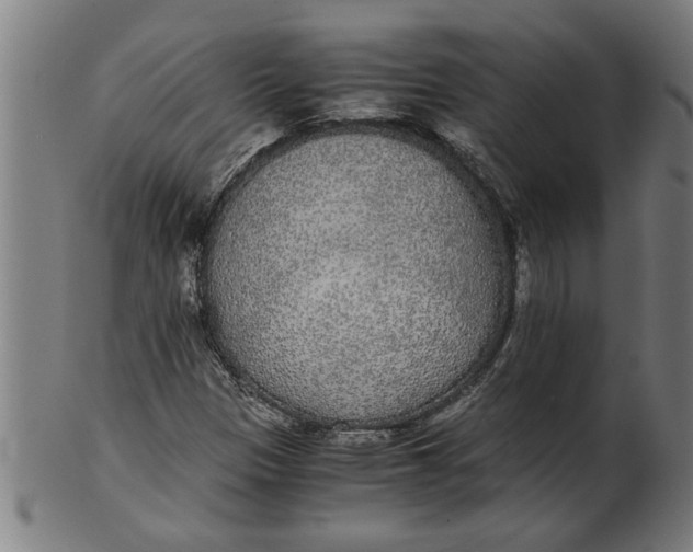 X0000100861305200807111243