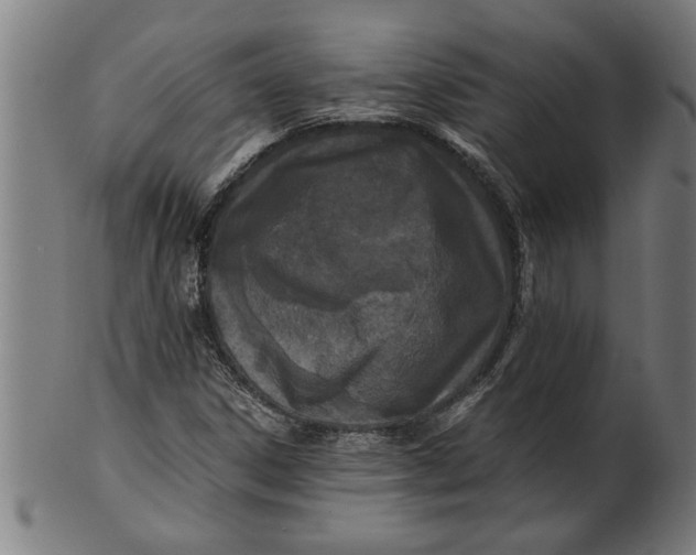 X0000100861306200807111243