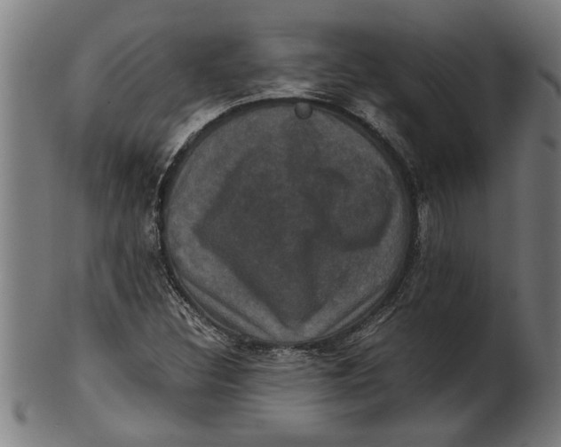 X0000100861308200807111243