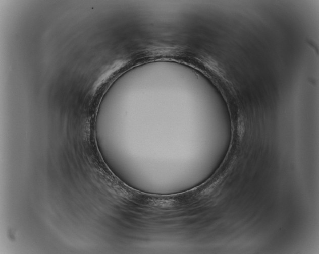 X0000100861309200807111243