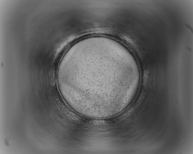 X0000100861310200807111243