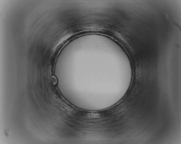 X0000100861315200807111243