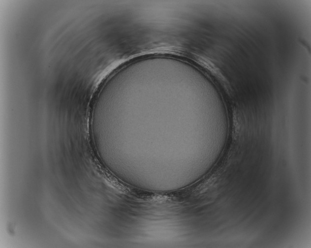 X0000100861316200807111243