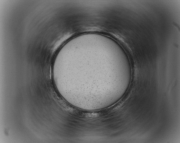 X0000100861317200807111243