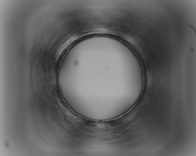 X0000100861318200807111243