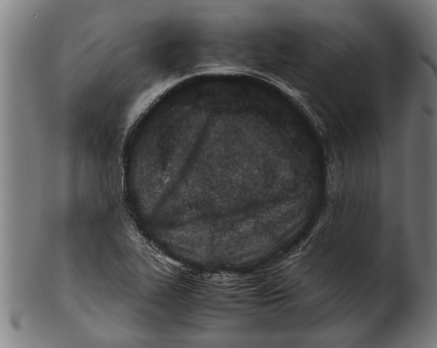 X0000100861319200807111243