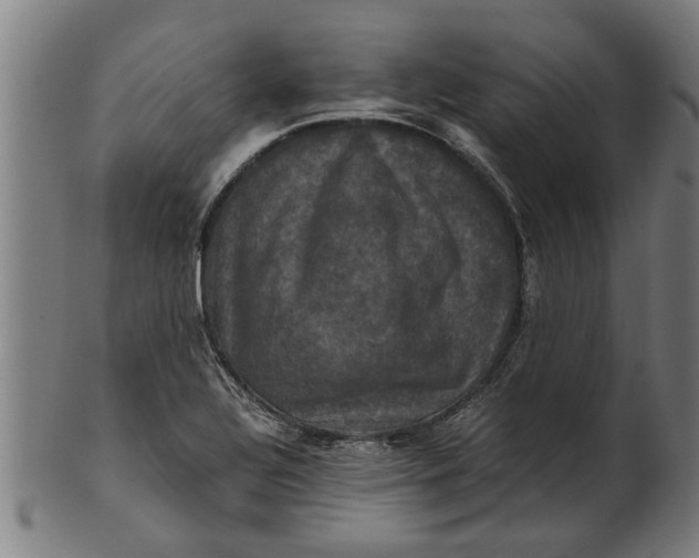 X0000100861320200807111243