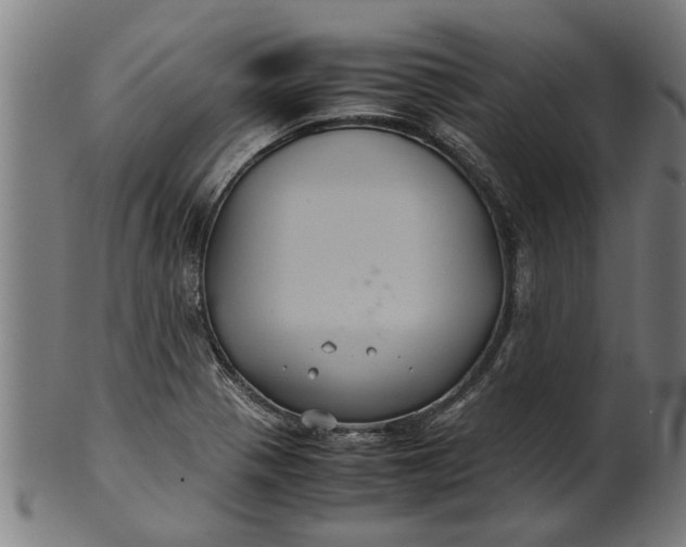 X0000100861321200807111243