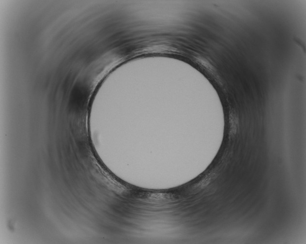 X0000100861322200807111243