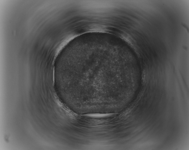 X0000100861323200807111243