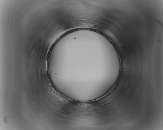 X0000100861324200807111243