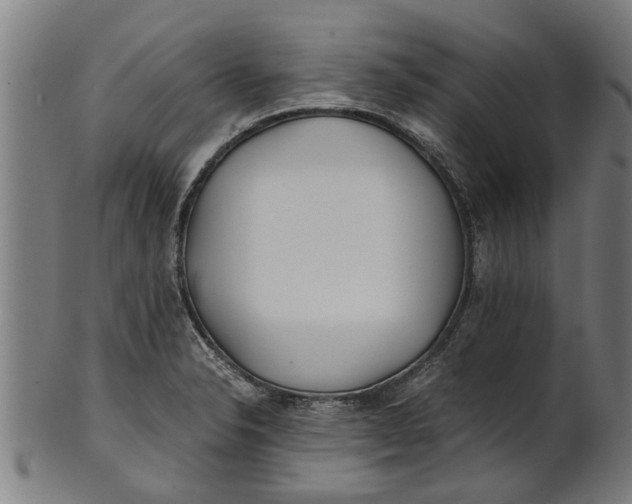 X0000100861326200807111243