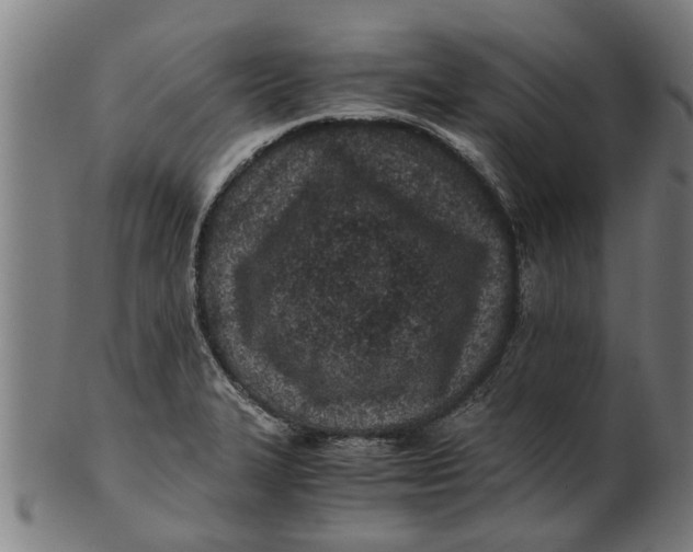 X0000100861327200807111243