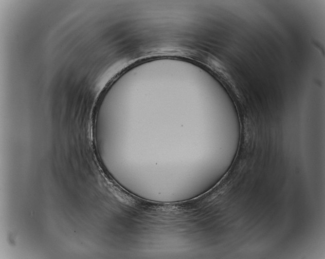 X0000100861328200807111243