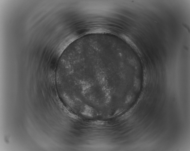 X0000100861329200807111243