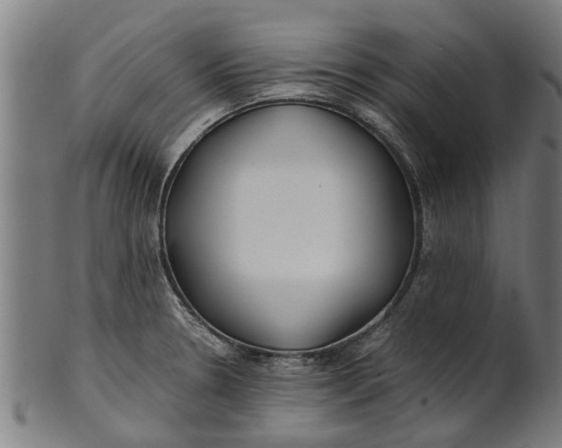 X0000100861330200807111243