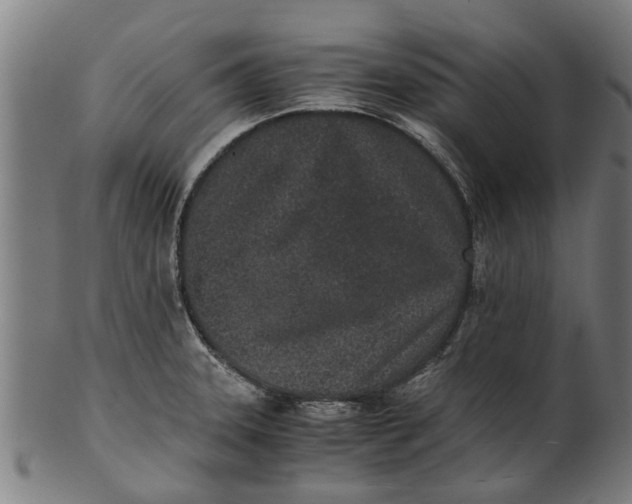 X0000100861331200807111243